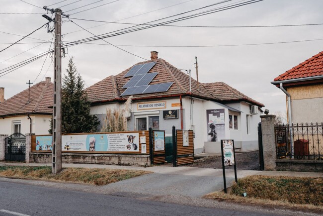 Pille Vet Állatorvosi Rendelő