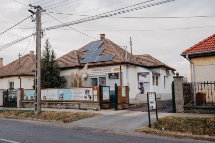 Pille Vet Állatorvosi Rendelő