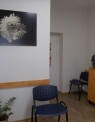Hársfa úti állatorvosi rendelő